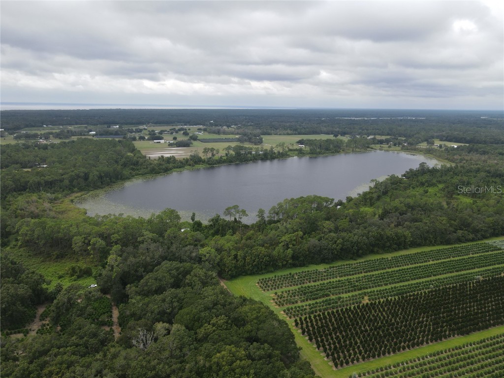 Turkey Shoot Road Pierson FL 32180 - LAKE ROBERTS V4945178 image3