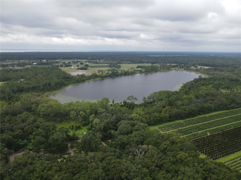 Turkey Shoot Road Pierson FL 32180 - LAKE ROBERTS V4945178 image4