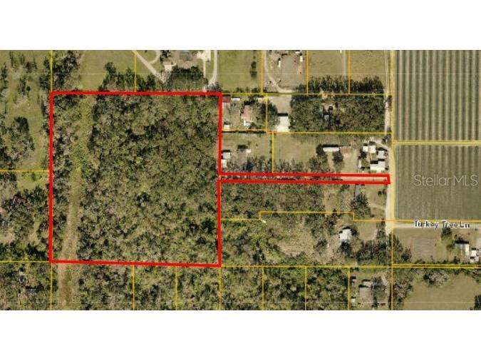 Turkey Tree Lane Dover FL 33527 TB8406830 image1