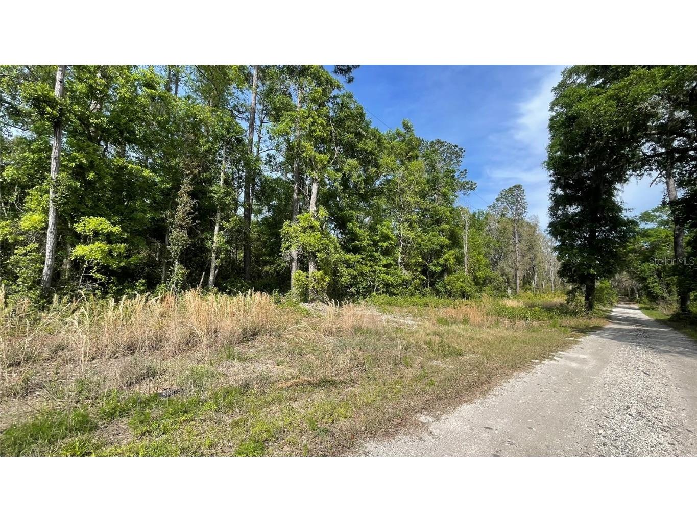 Turkey Trot Road Florahome FL 32140 GC520991 image1