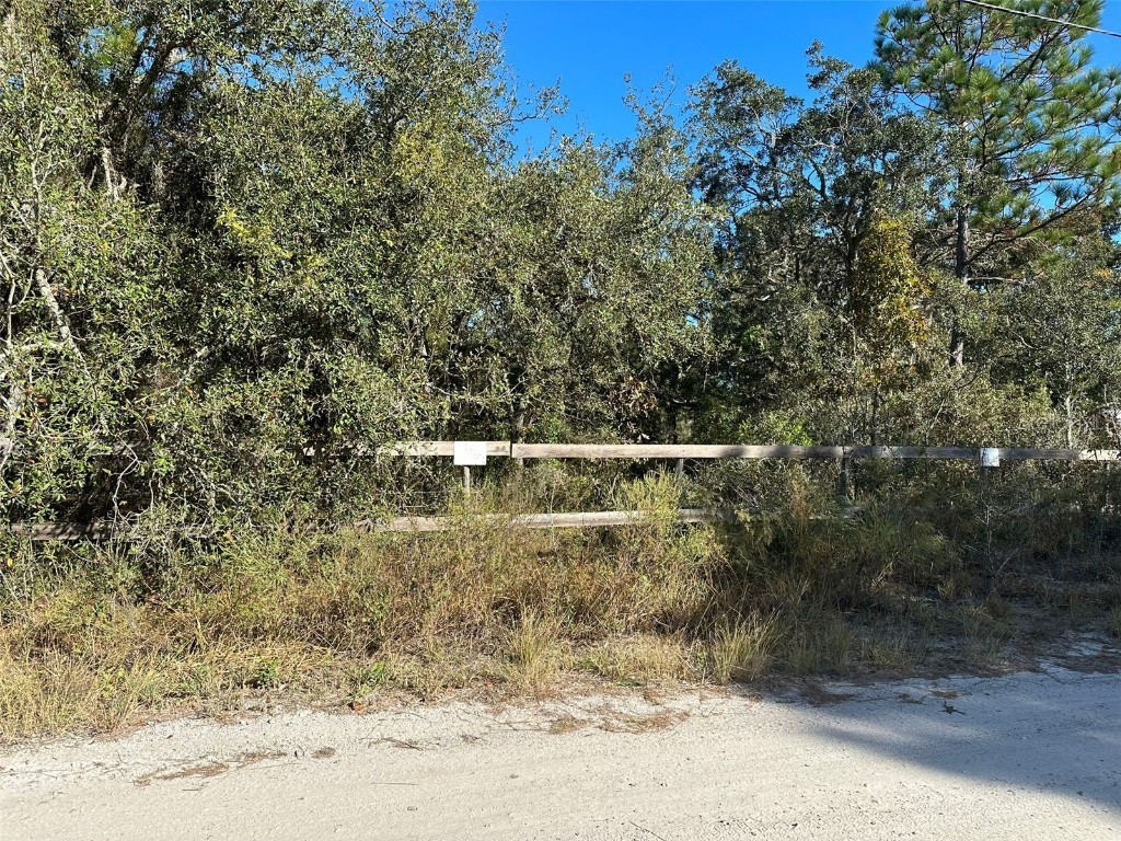 Turner Loop Spring Hill FL 34610 T3411020 image1