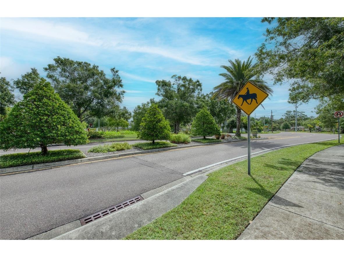 Twin Branch Acres Rd Tampa FL 33626 TB8404009 image25