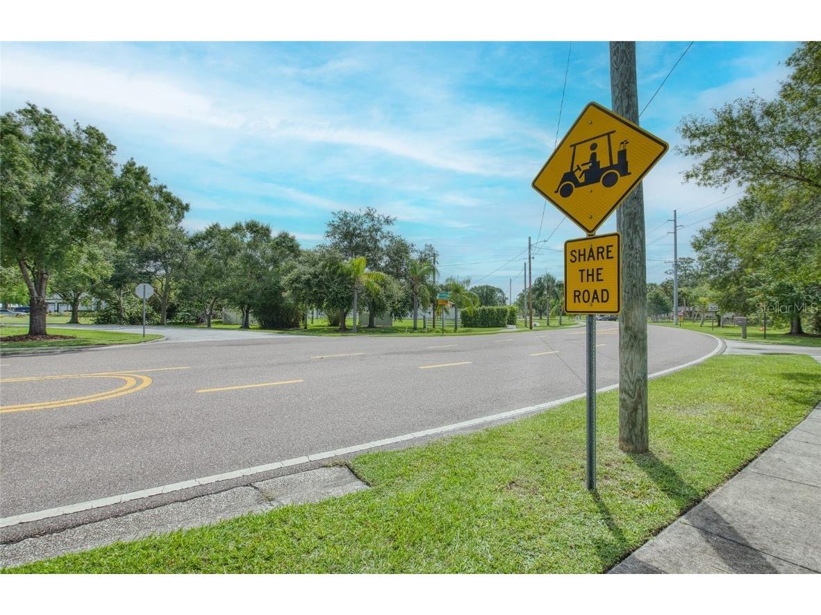 Twin Branch Acres Rd Tampa FL 33626 TB8404009 image26