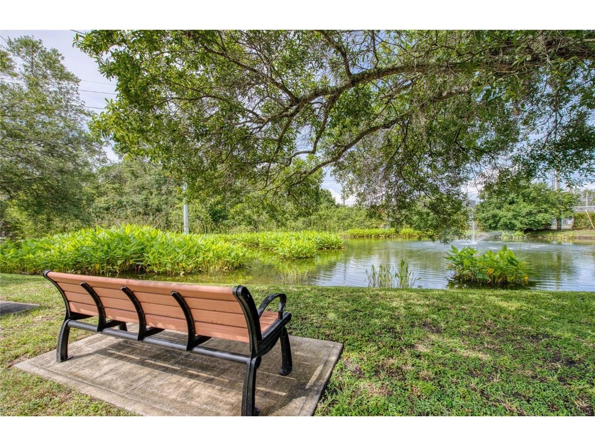 Twin Branch Acres Rd Tampa FL 33626 TB8404009 image27