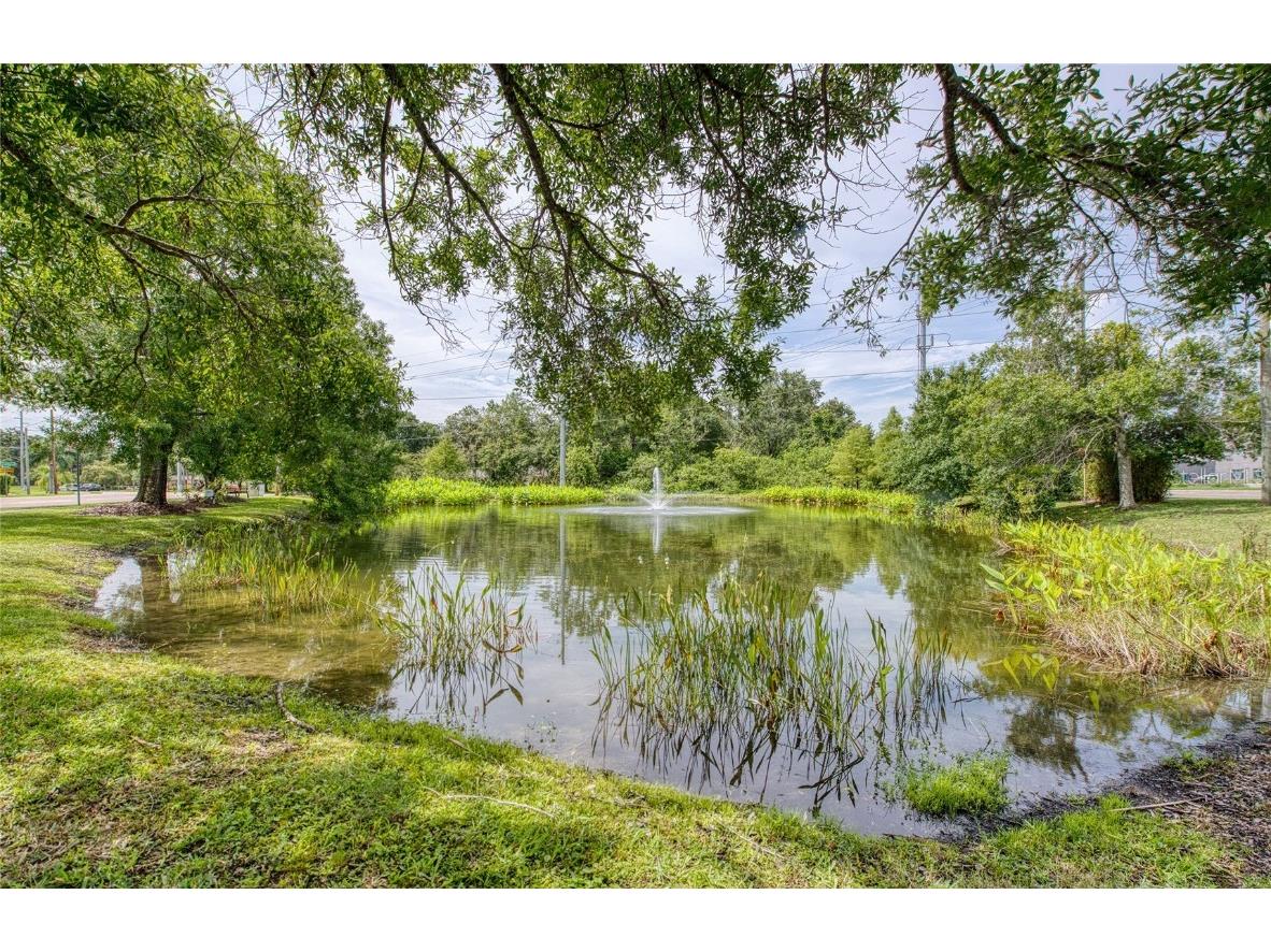 Twin Branch Acres Rd Tampa FL 33626 TB8404009 image28