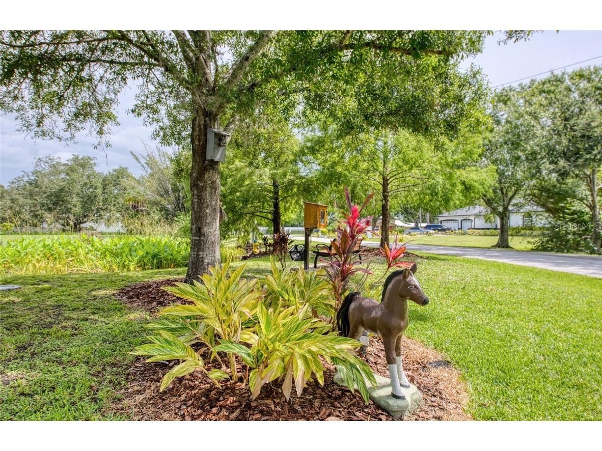 Twin Branch Acres Rd Tampa FL 33626 TB8404009 image29
