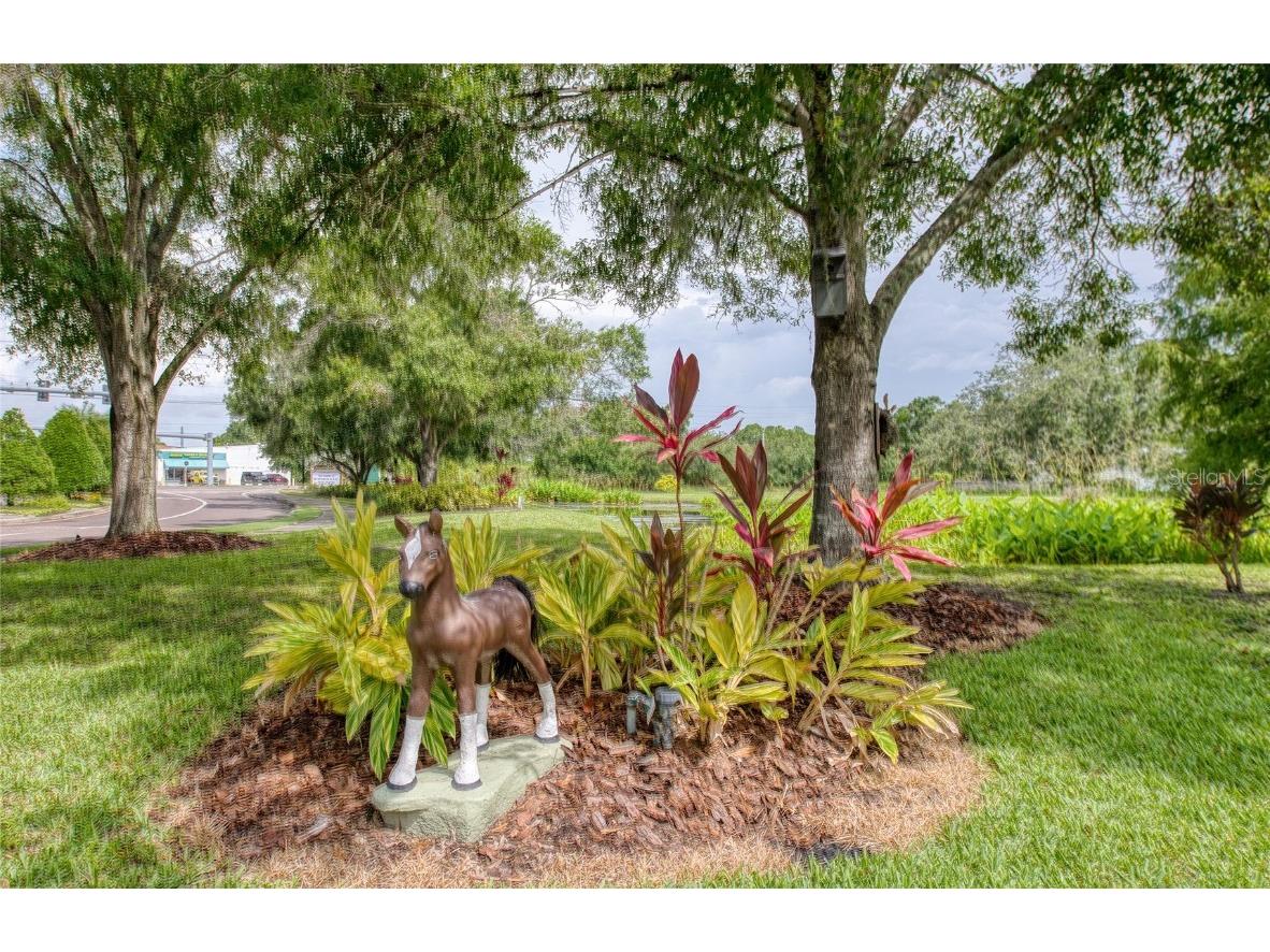 Twin Branch Acres Rd Tampa FL 33626 TB8404009 image30