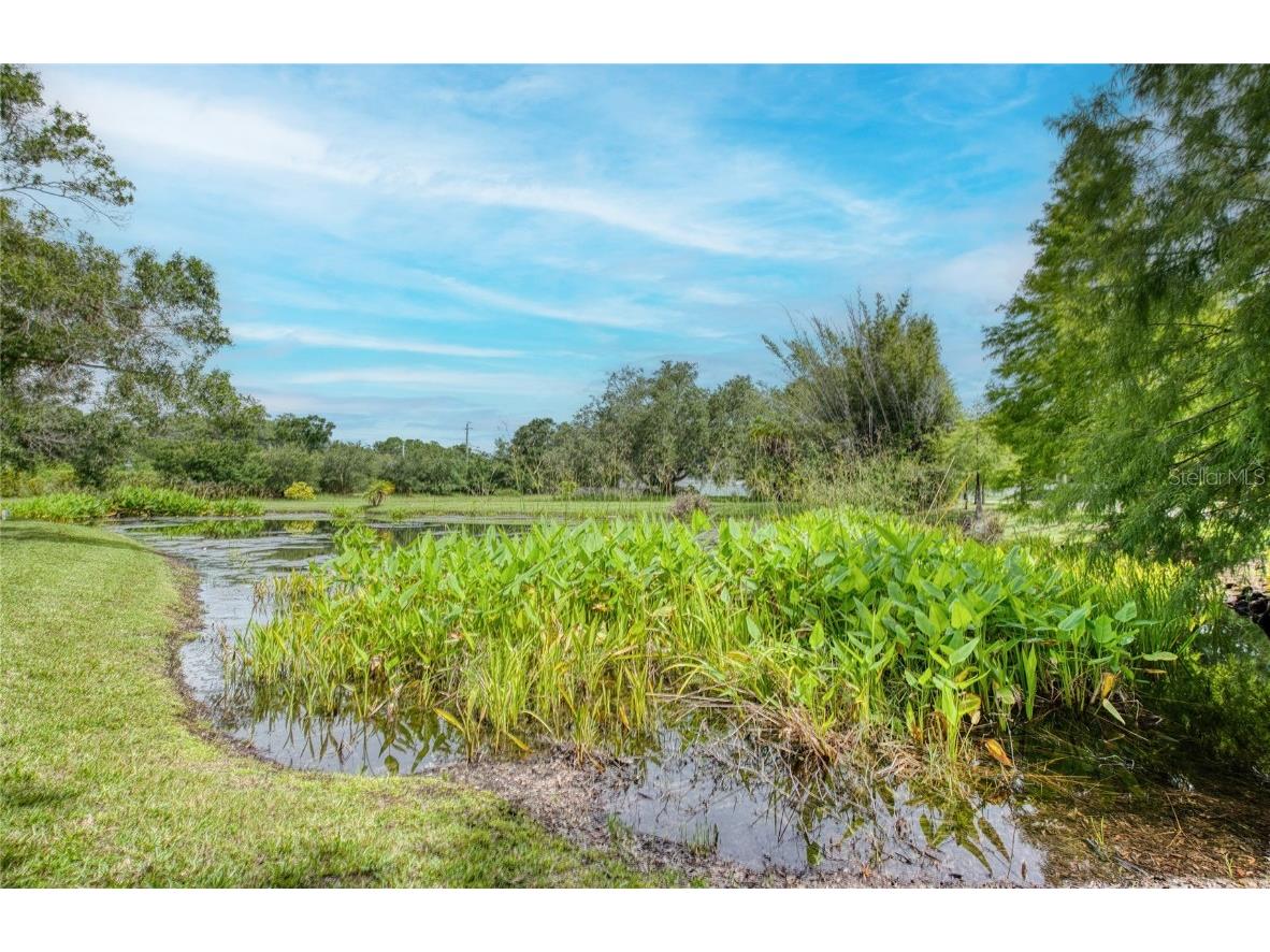 Twin Branch Acres Rd Tampa FL 33626 TB8404009 image31