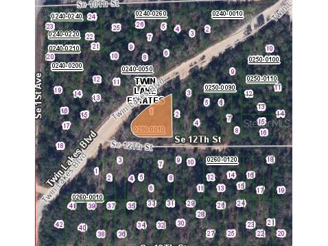 00 Twin Lakes Blvd And Se 12th St Corner Interlachen FL 32148 OM635766 image2