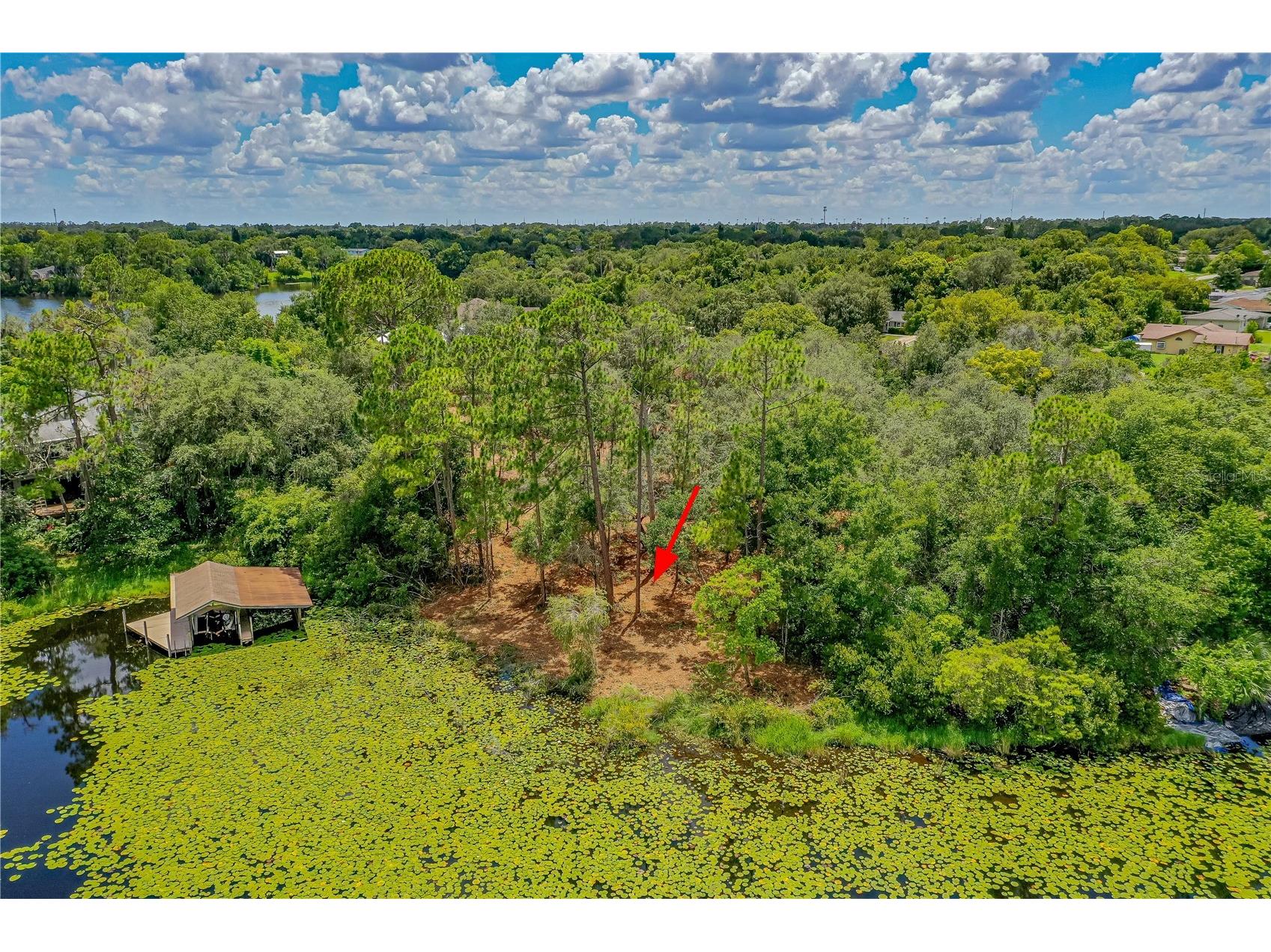 Twin Oak Street Deltona FL 32725 V4947352 image5