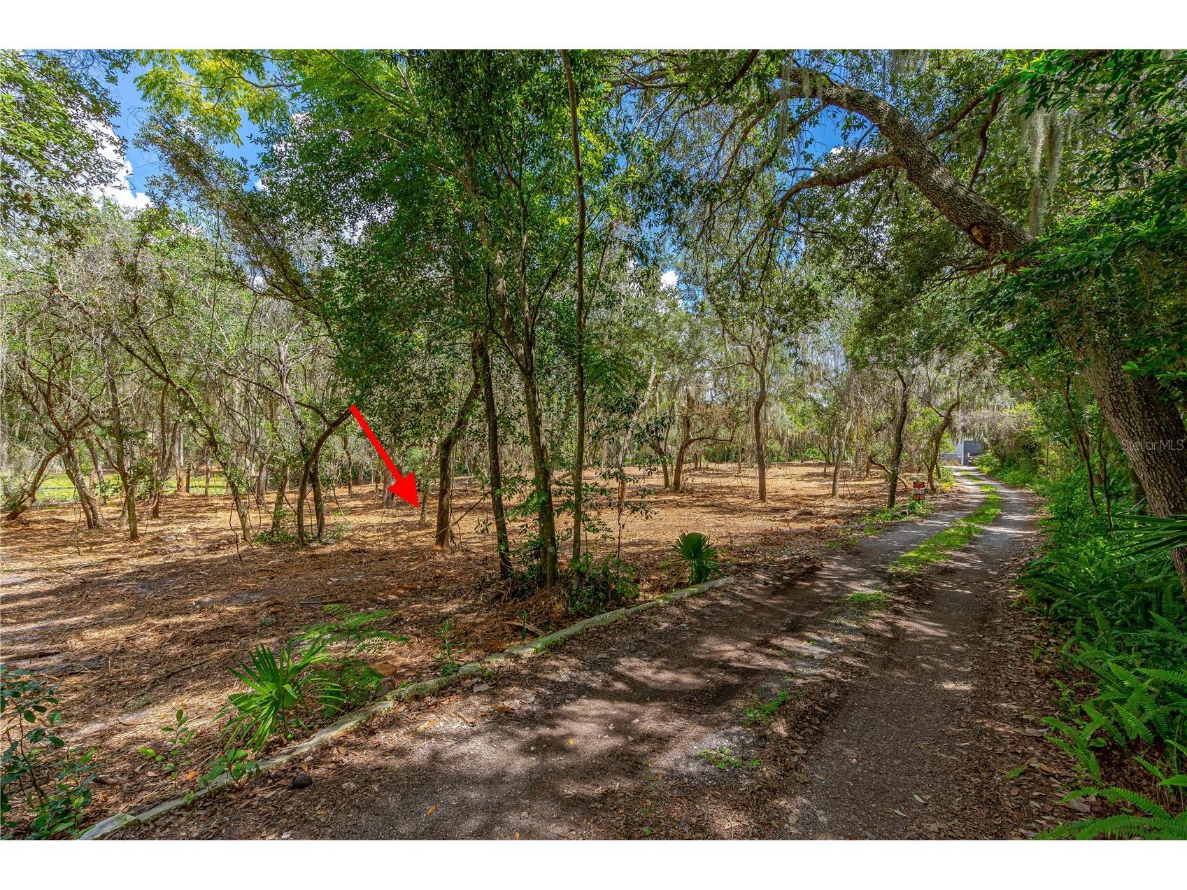 Twin Oak Street Deltona FL 32725 V4947352 image6