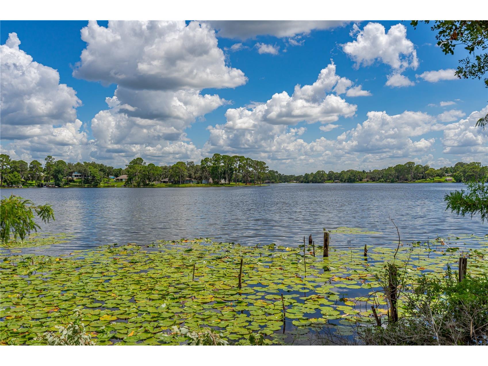 Twin Oak Street Deltona FL 32725 V4947353 image9