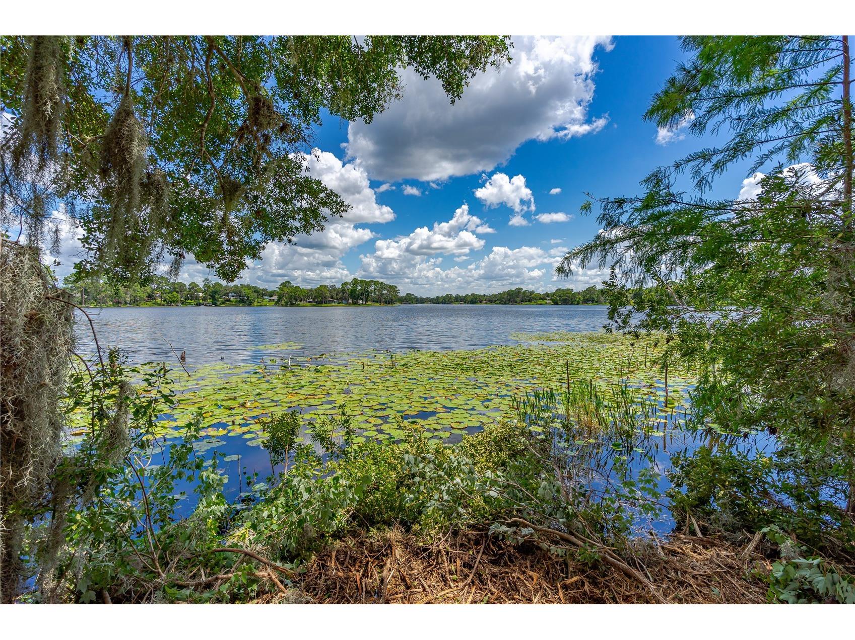 Twin Oak Street Deltona FL 32725 V4947354 image16