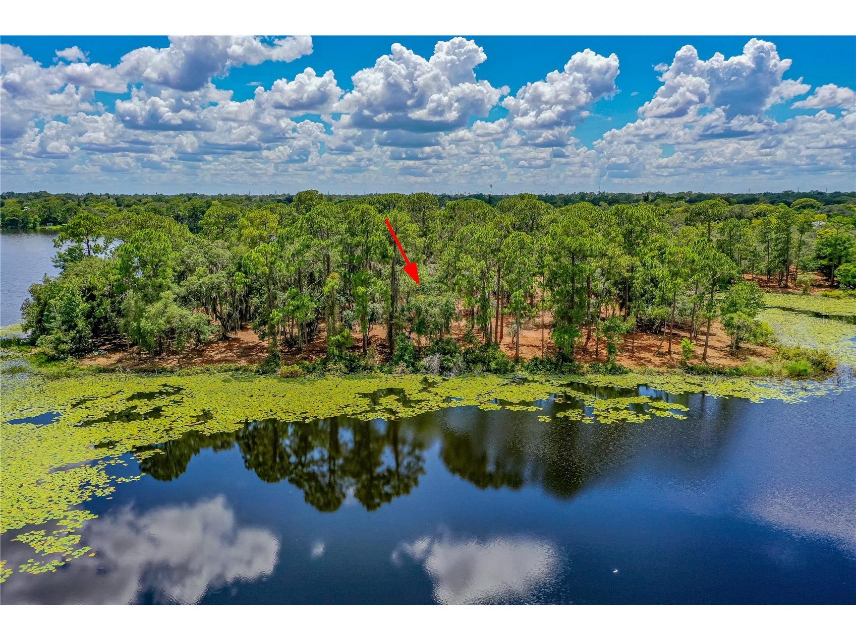 Twin Oak Street Deltona FL 32725 V4947354 image7