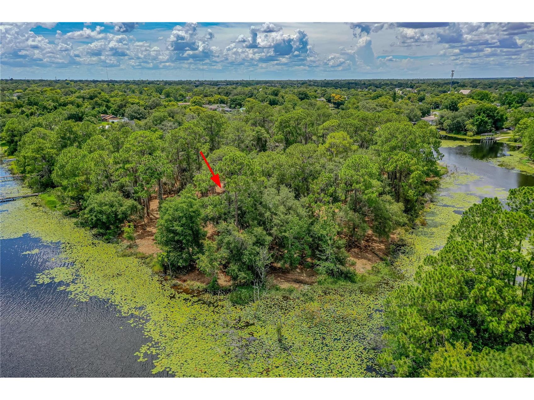 Twin Oak Street Deltona FL 32725 V4947354 image8