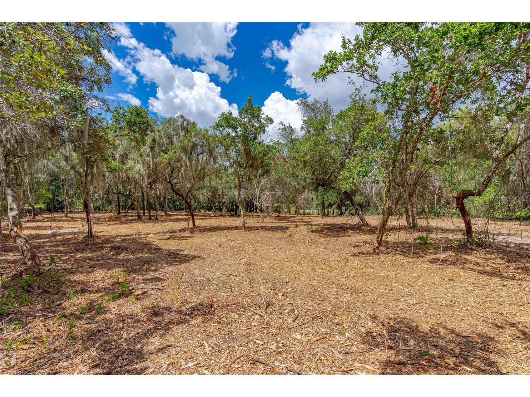 Twin Oak Street Deltona FL 32725 V4947354 image9