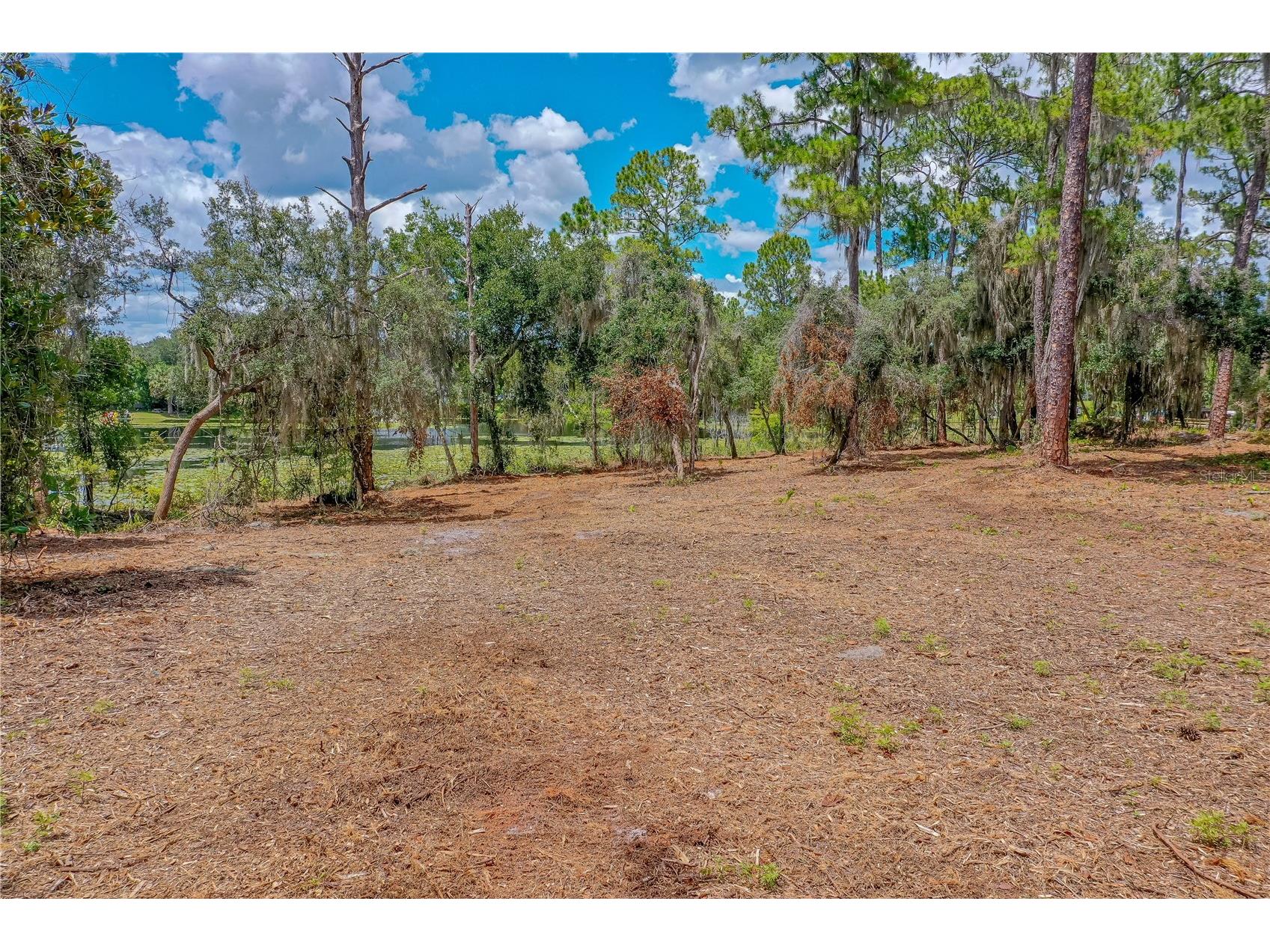 Twin Oak Street Deltona FL 32725 V4947355 image10