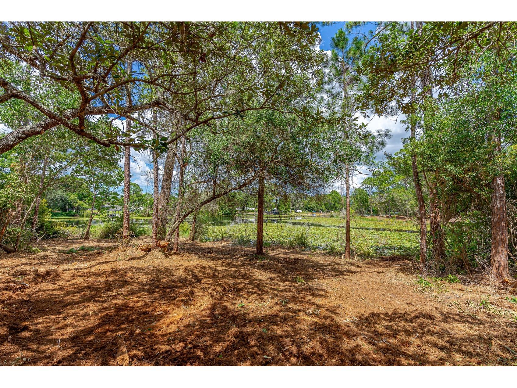 Twin Oak Street Deltona FL 32725 V4947355 image12