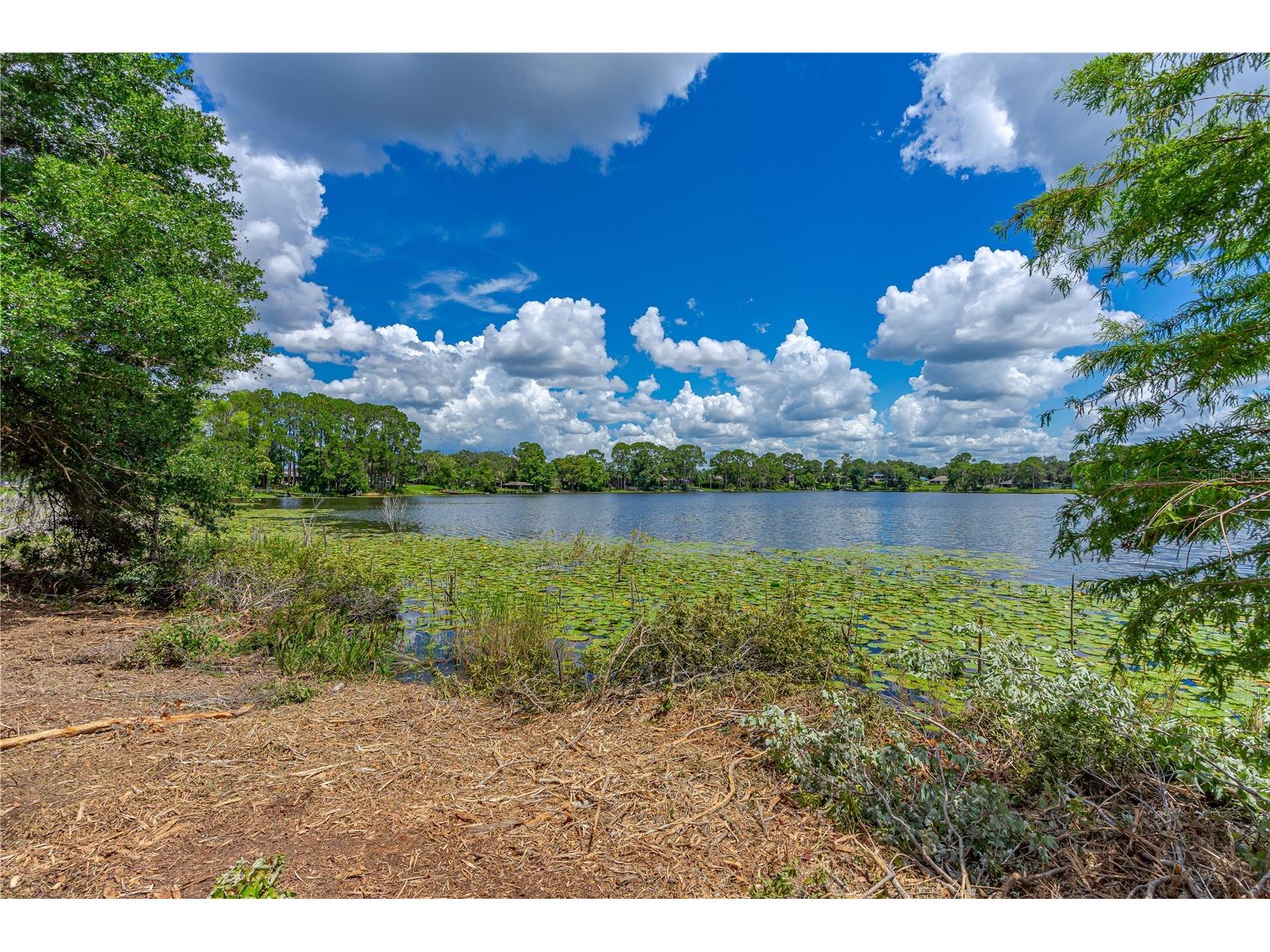 Twin Oak Street Deltona FL 32725 V4947355 image14