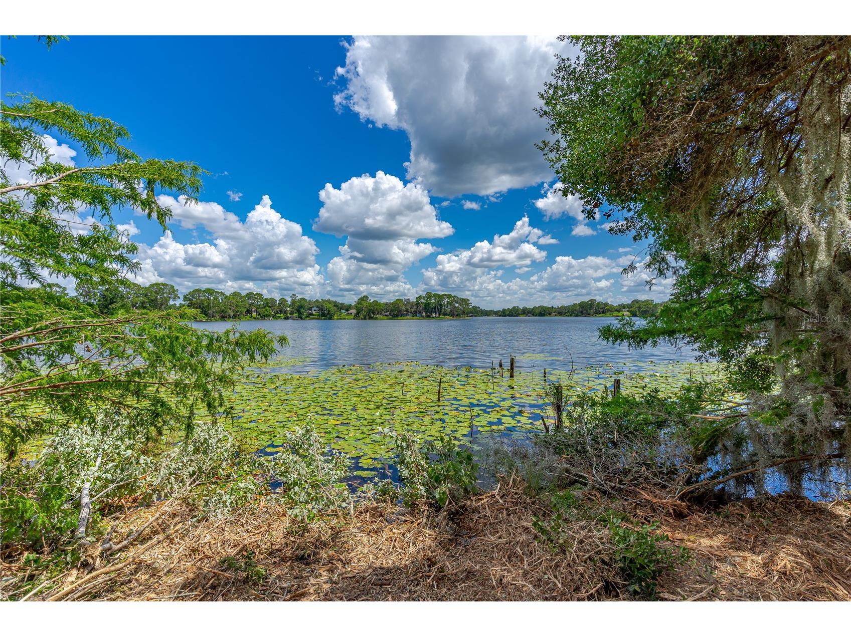 Twin Oak Street Deltona FL 32725 V4947355 image15