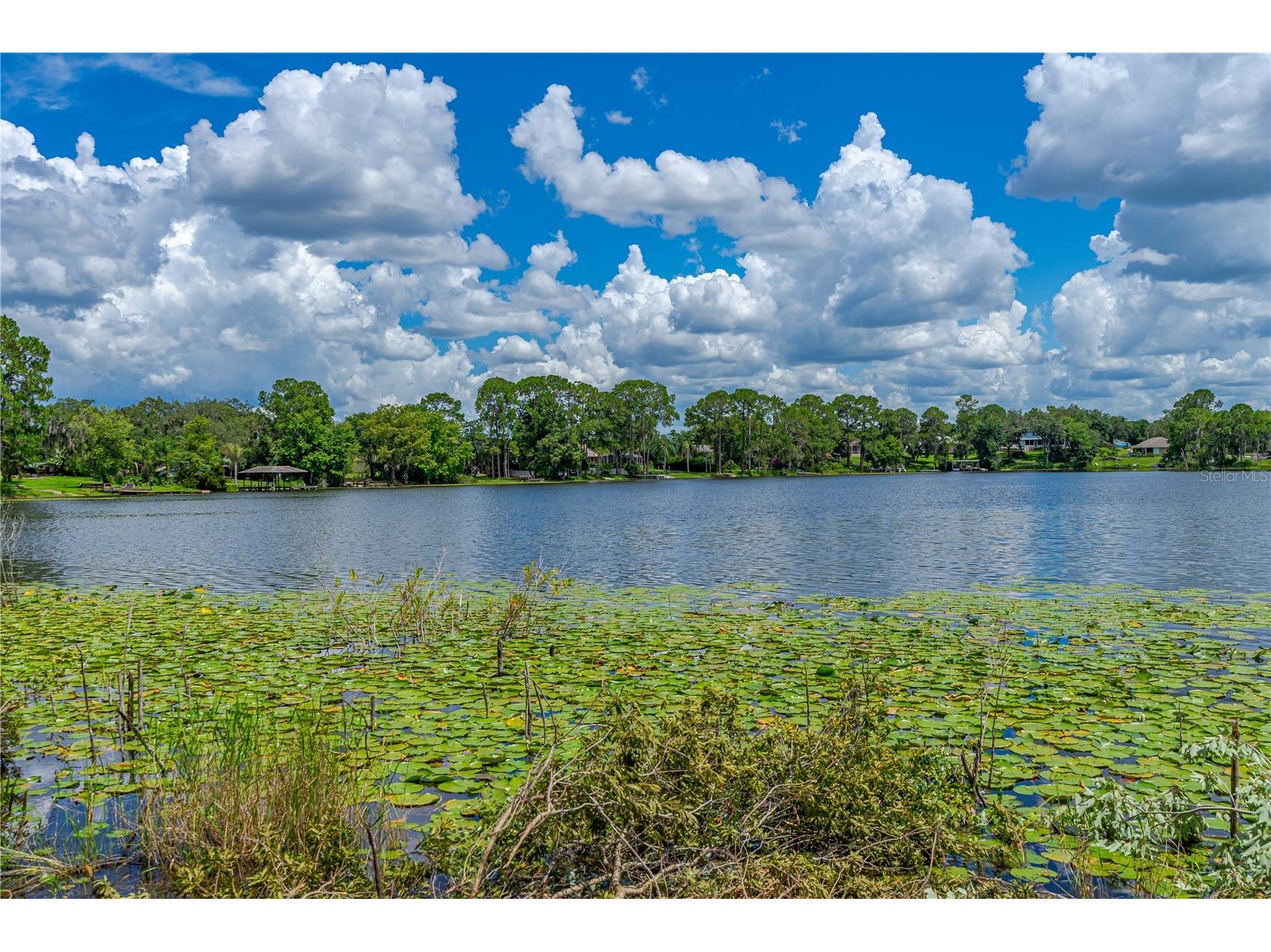 Twin Oak Street Deltona FL 32725 V4947355 image17