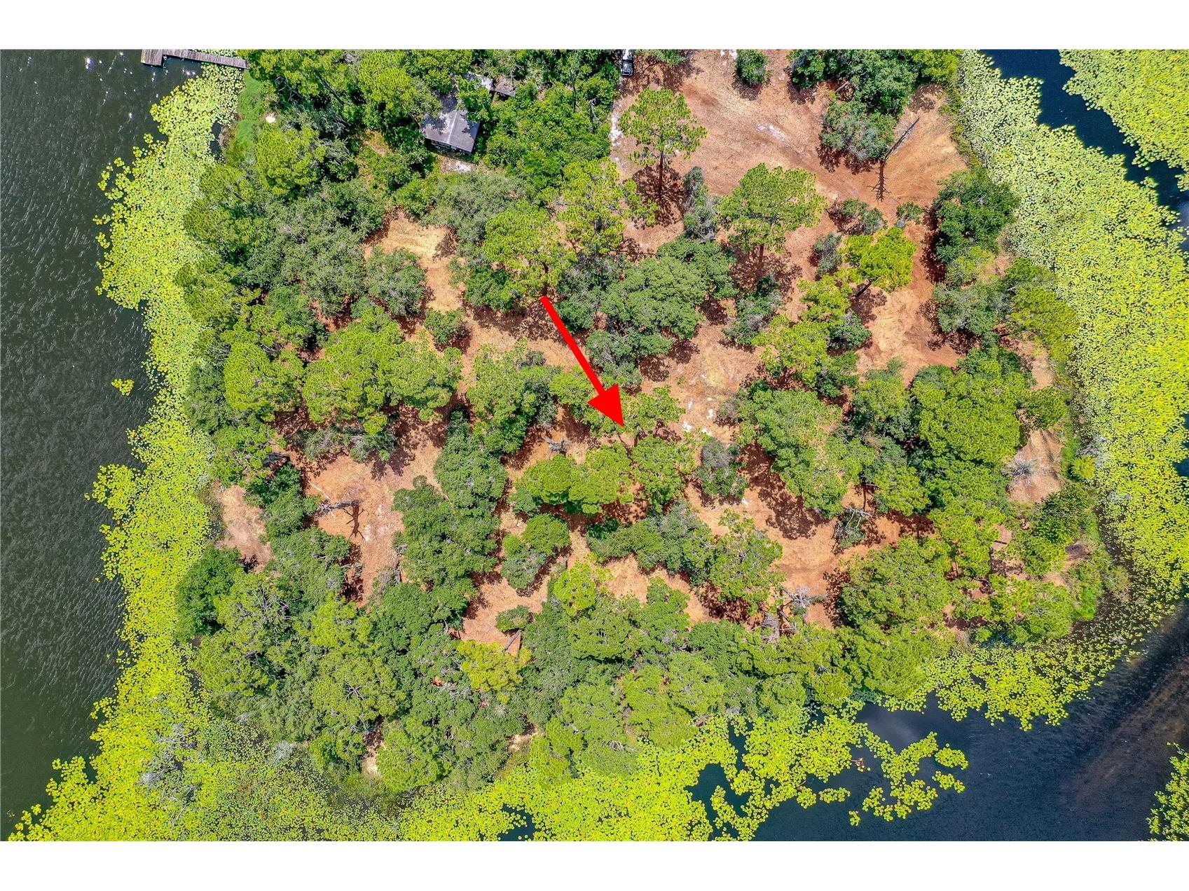 Twin Oak Street Deltona FL 32725 V4947355 image5