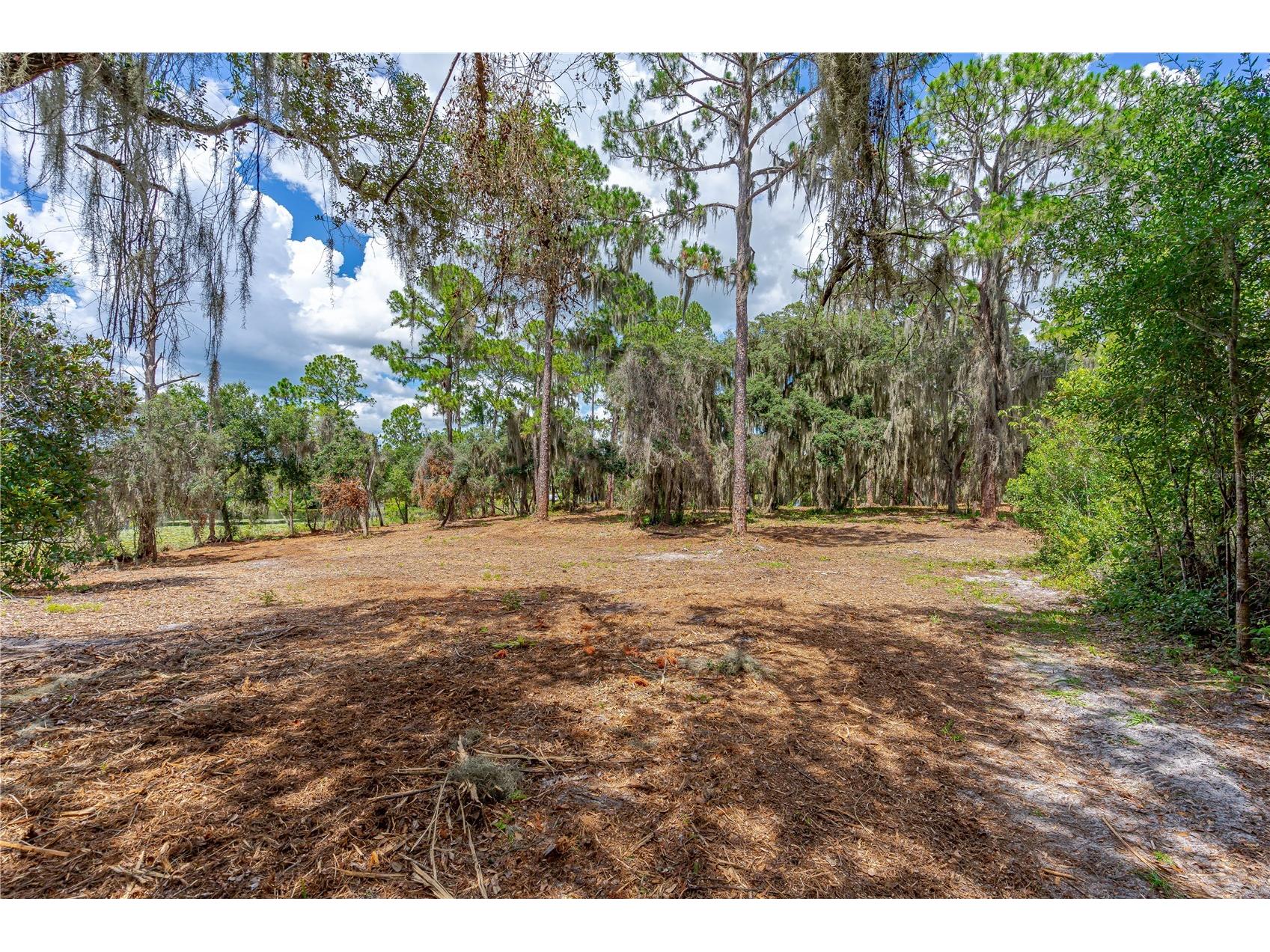 Twin Oak Street Deltona FL 32725 V4947355 image9