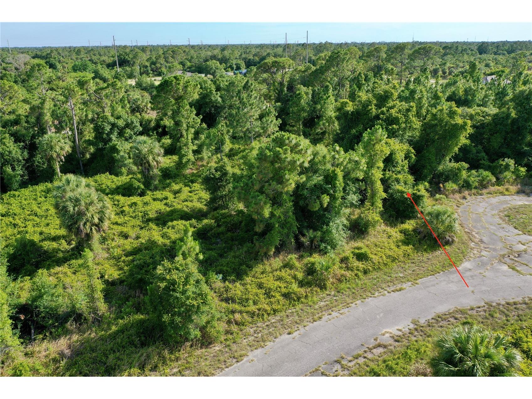 Twisdale Circle North Port FL 34288 C7491387 image8