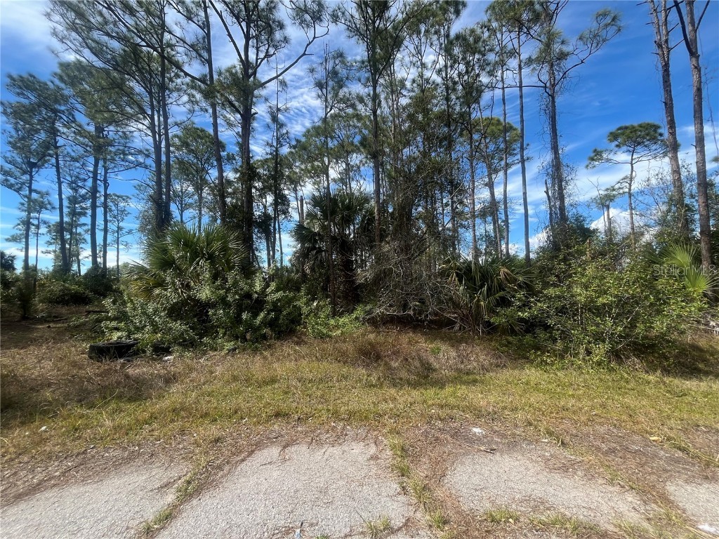 Tyrol Court North Port FL 34288 OK224958 image1