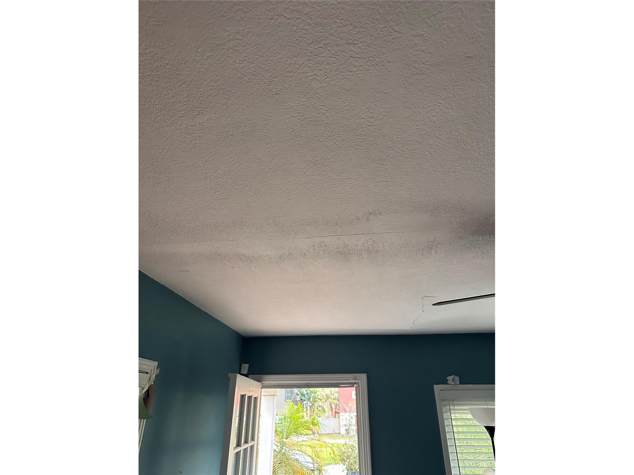 39 Hamilton Heath Drive Tampa FL 33604 TB8489134 image24