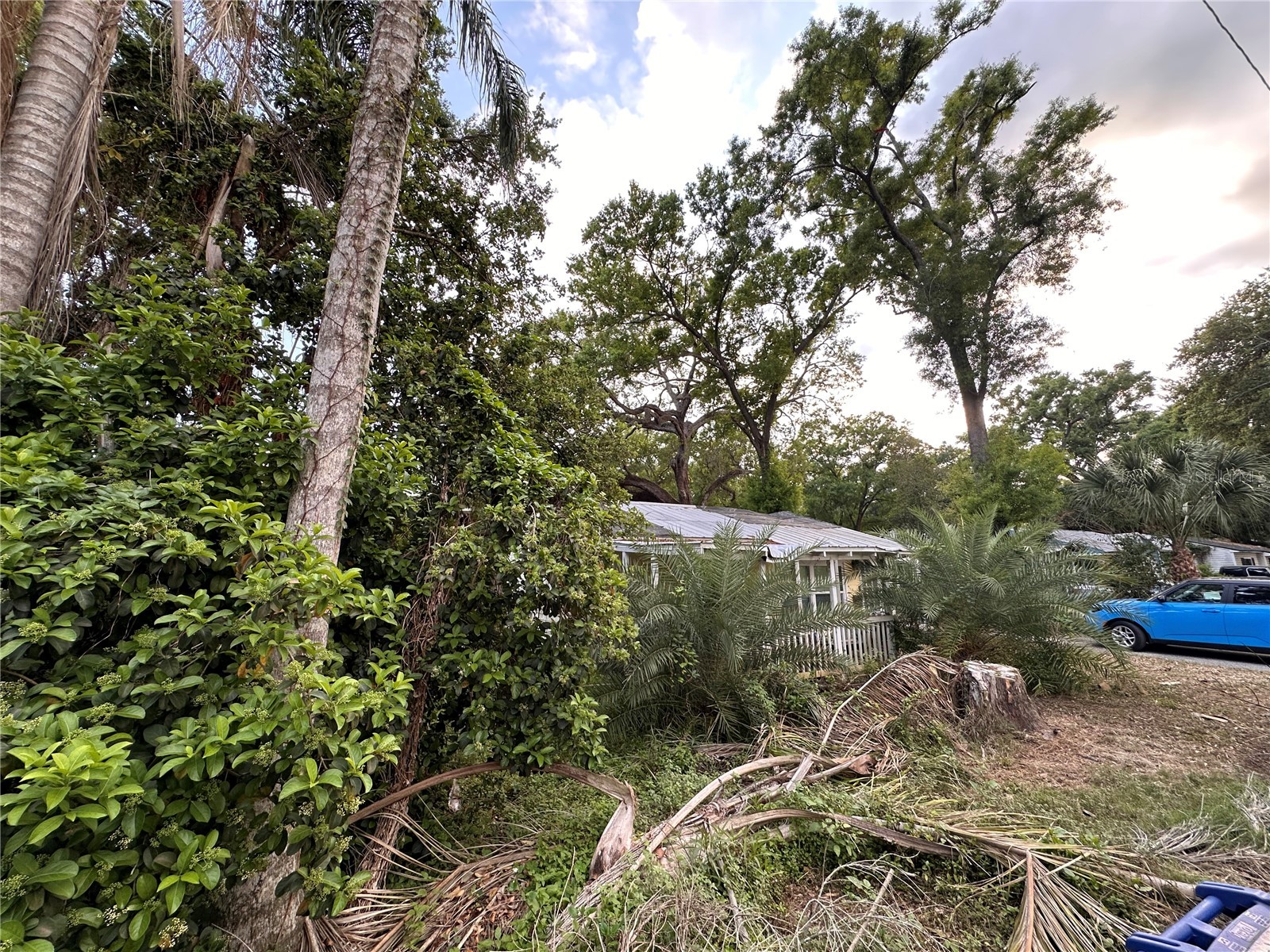 39 Hamilton Heath Drive Tampa FL 33604 TB8489134 image26