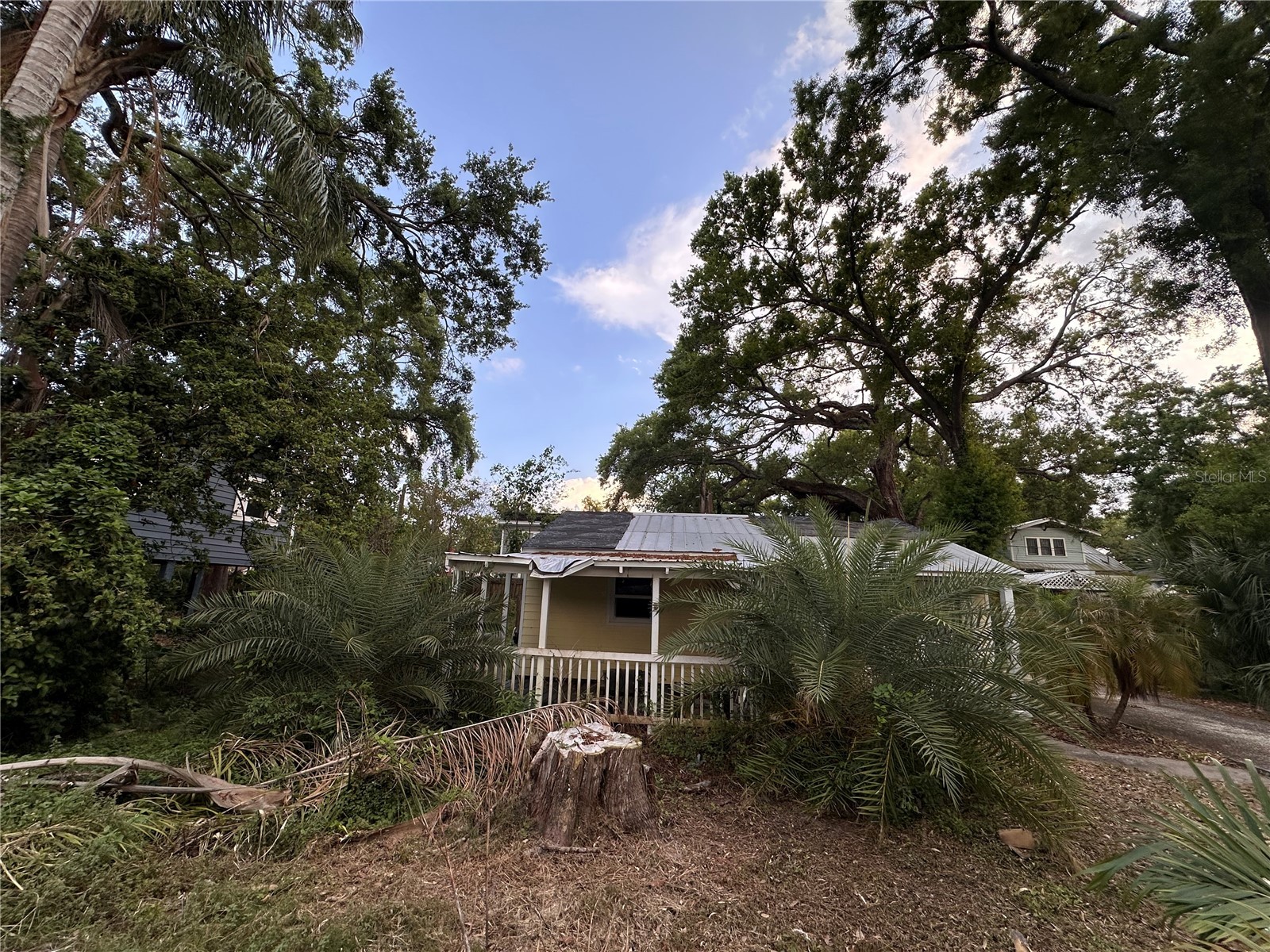 39 Hamilton Heath Drive Tampa FL 33604 TB8489134 image27