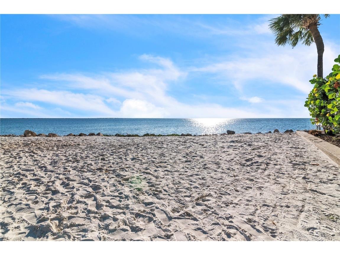  Tampa FL 33607 TB8419145 image33