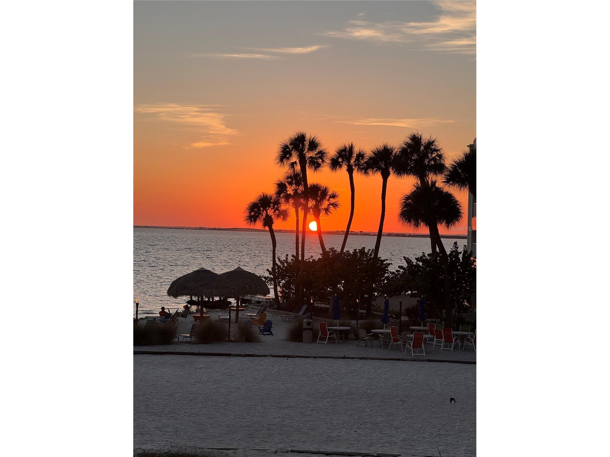 2506 N Rocky Point Drive #250 Tampa FL 33607 TB8503218 image1