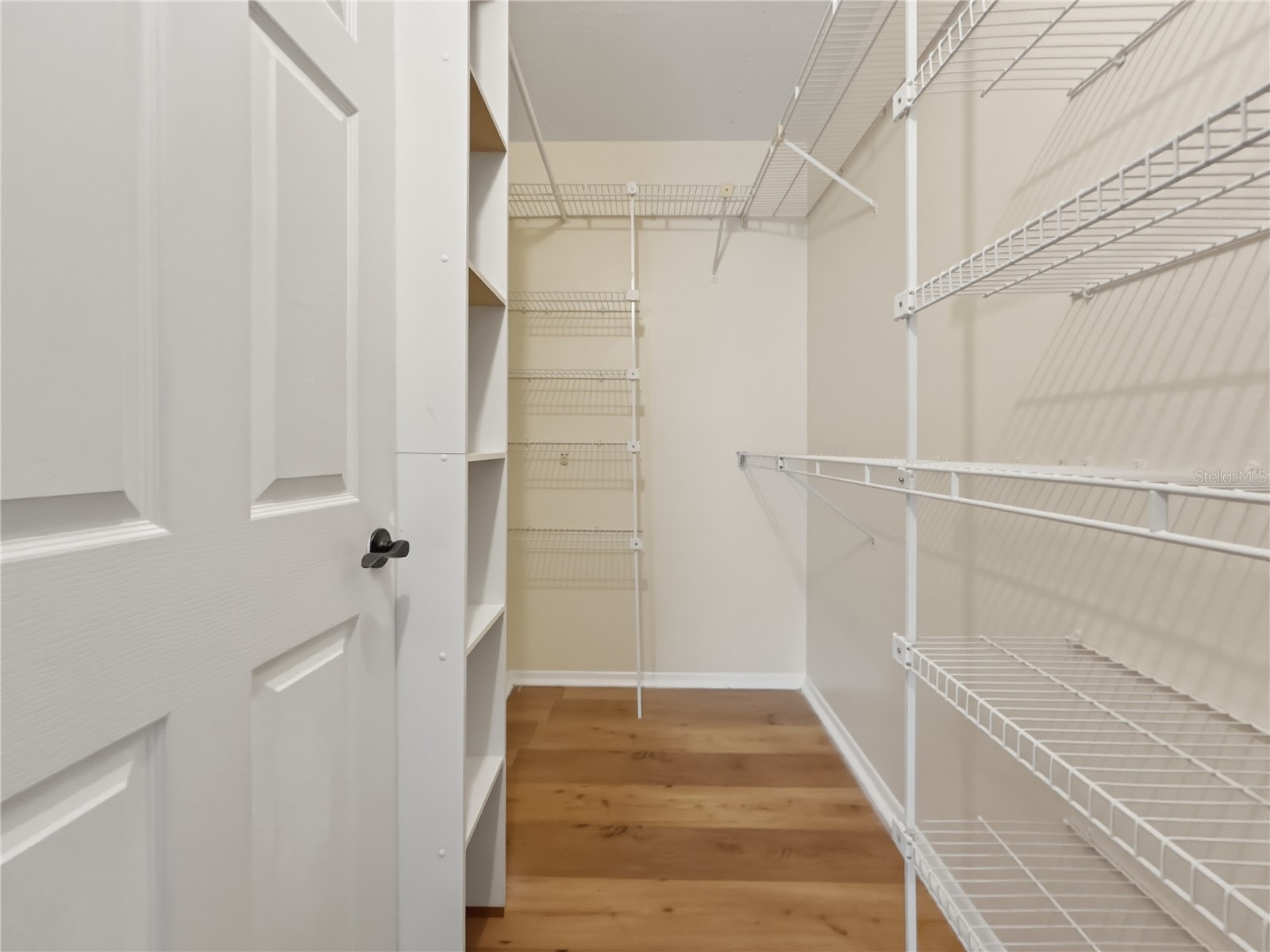 14324 Hanging Moss Circle #101 Tampa FL 33613 TB8478918 image16