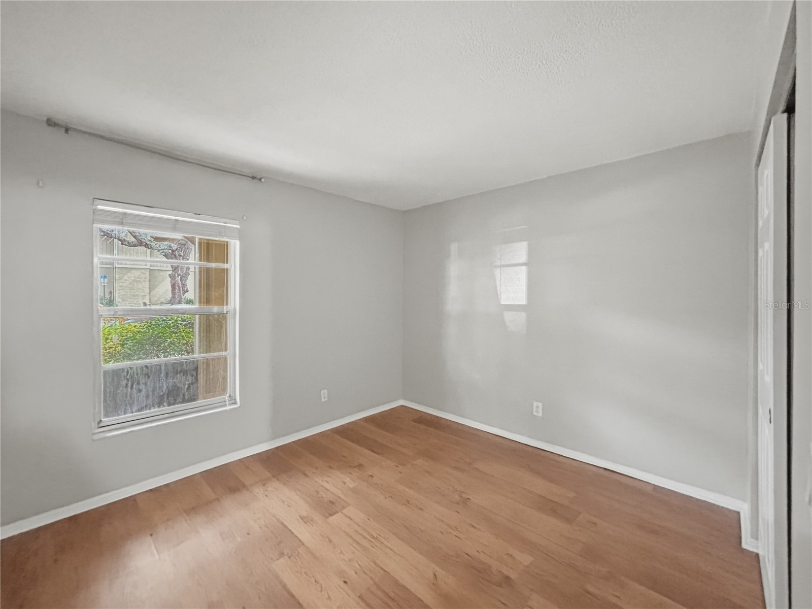 14324 Hanging Moss Circle #101 Tampa FL 33613 TB8478918 image19