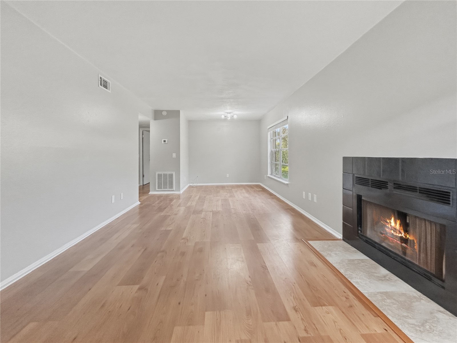 14324 Hanging Moss Circle #101 Tampa FL 33613 TB8478918 image5