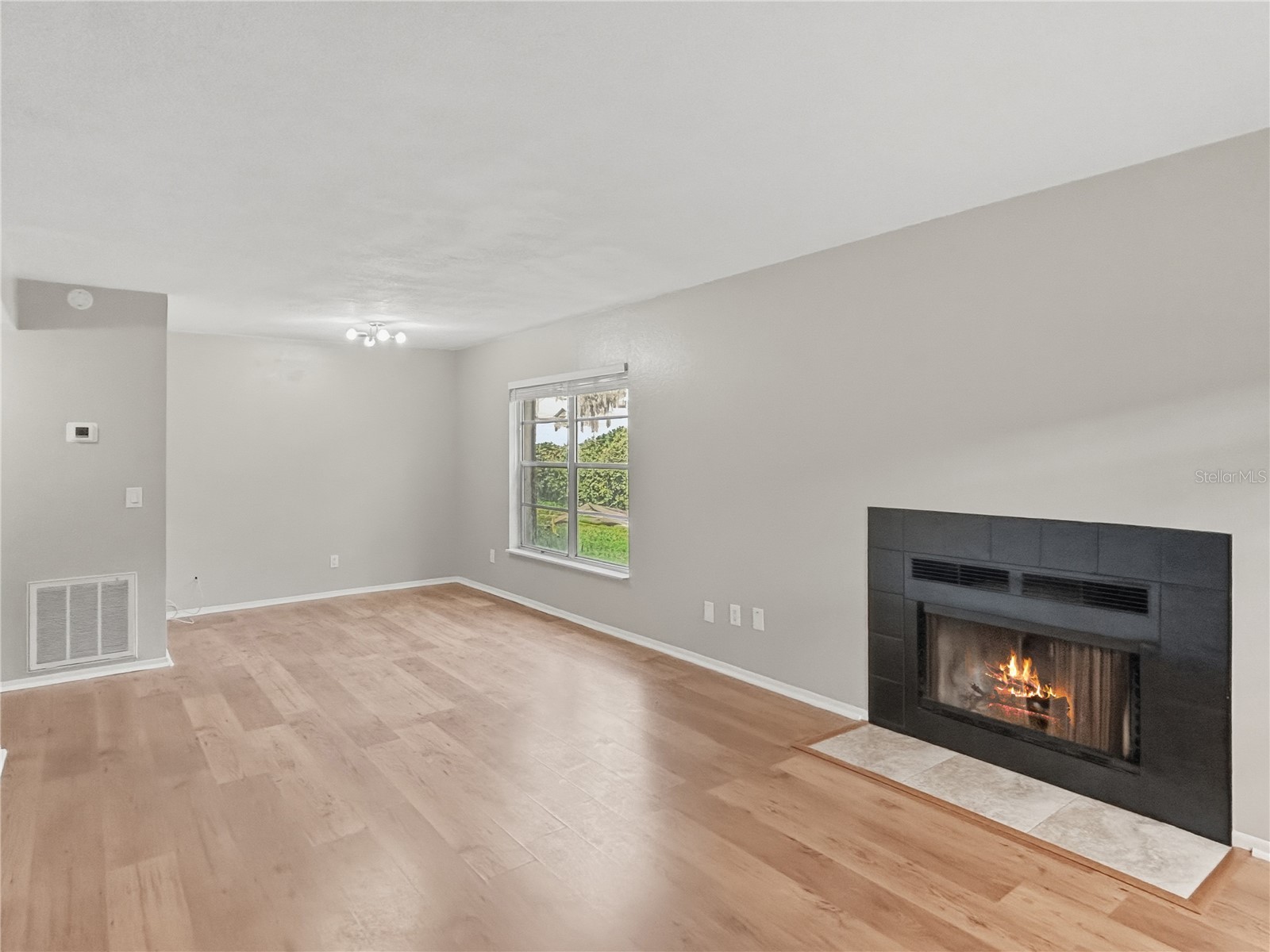 14324 Hanging Moss Circle #101 Tampa FL 33613 TB8478918 image6