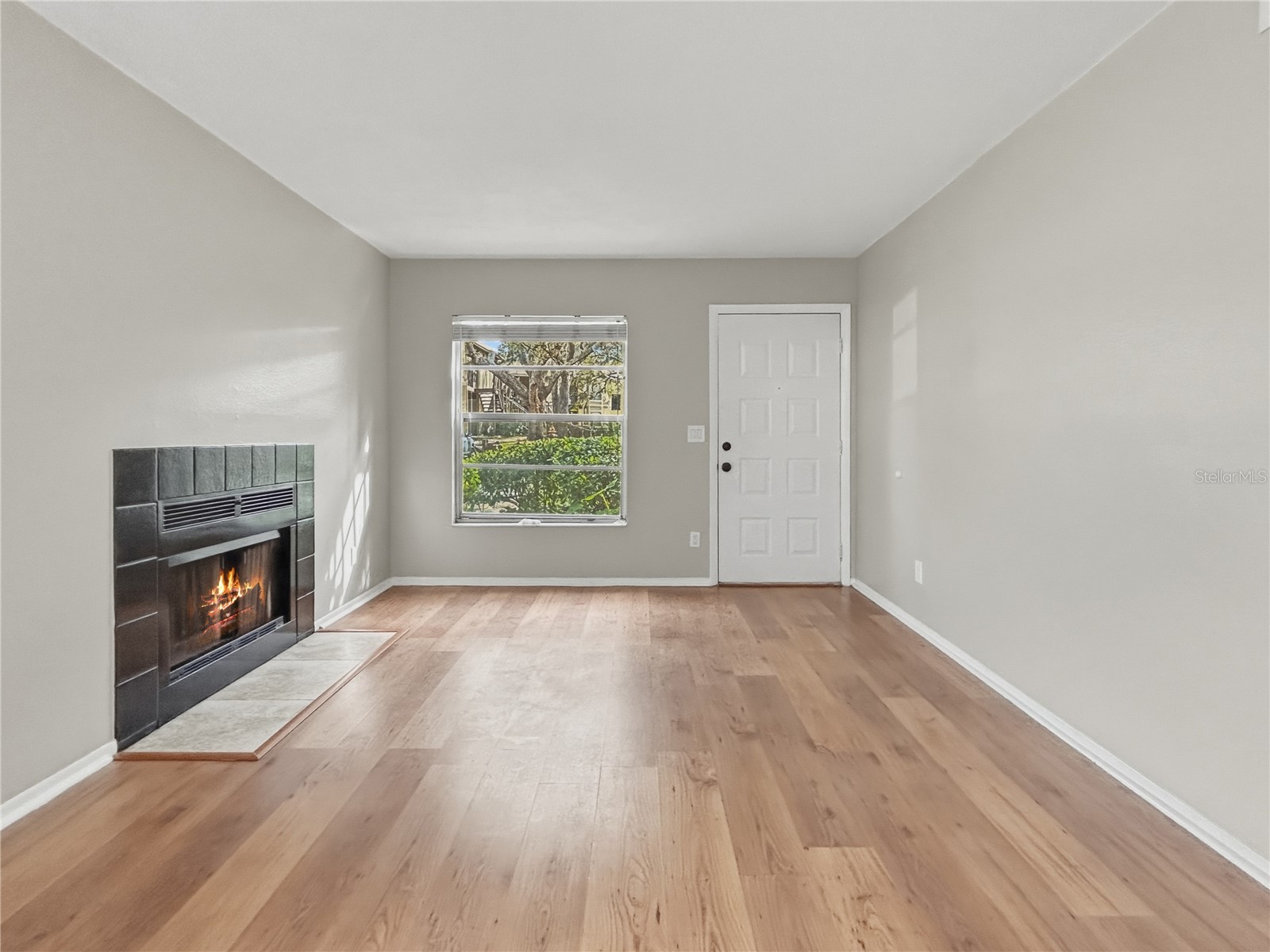 14324 Hanging Moss Circle #101 Tampa FL 33613 TB8478918 image7
