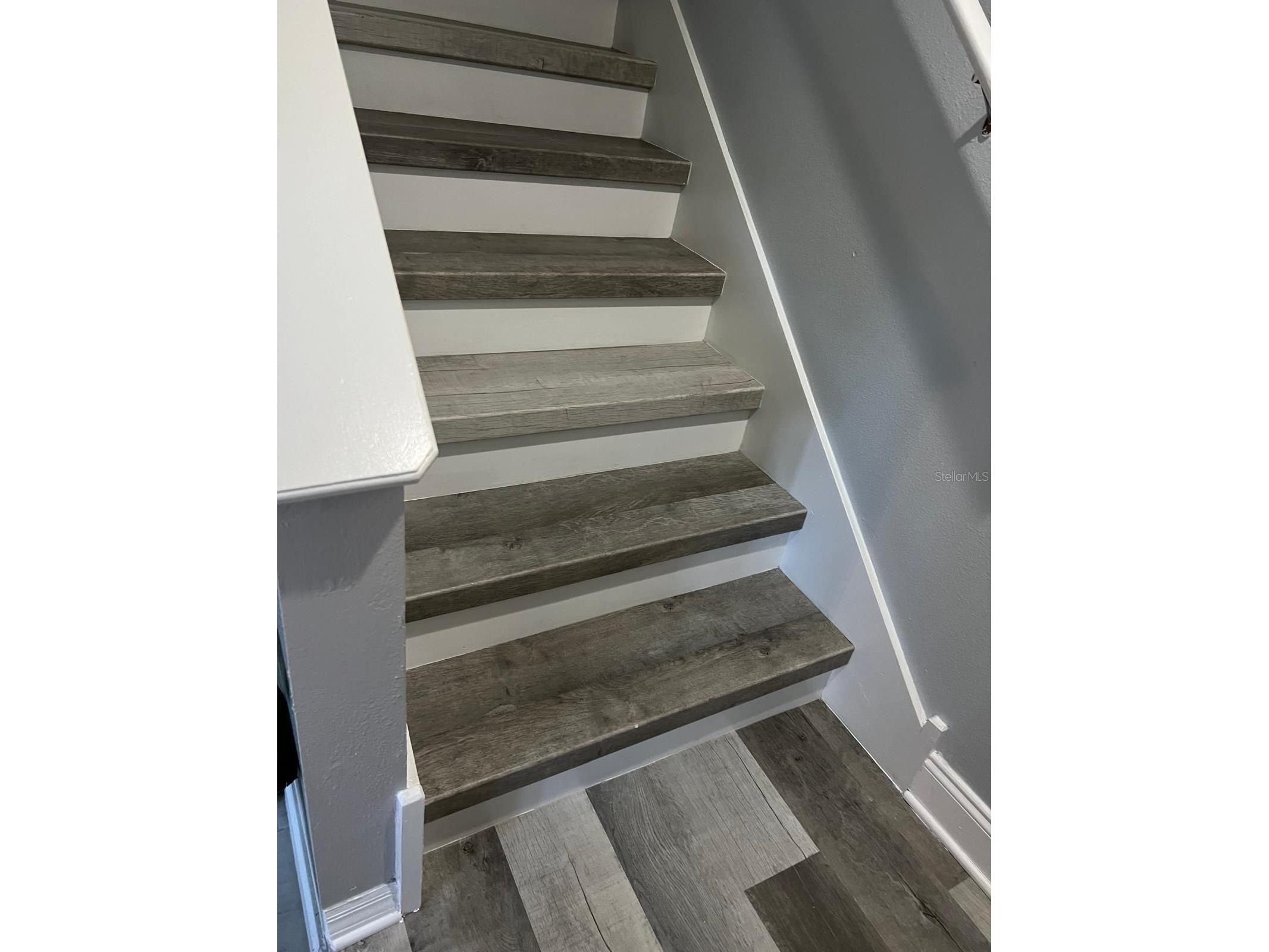 8423 Edgewater Place Boulevard Tampa FL 33615 TB8510963 image4