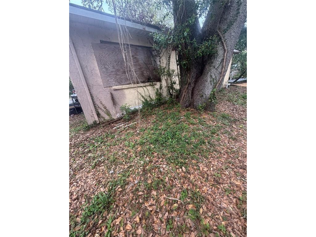  Tampa FL 33617 TB8362345 image1