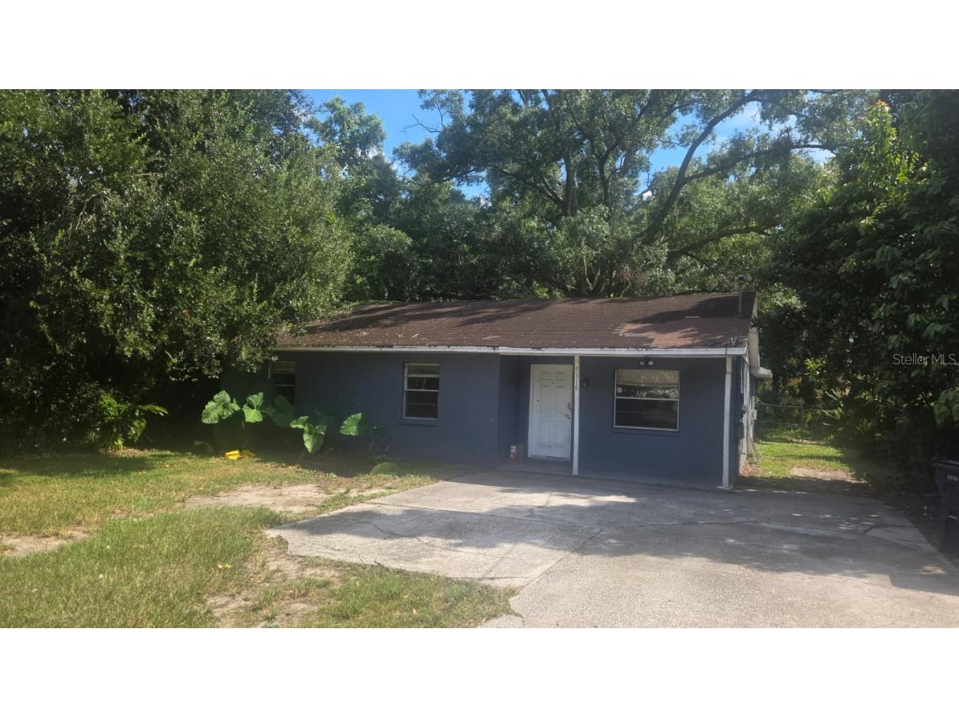  Tampa FL 33617 TB8430376 image1