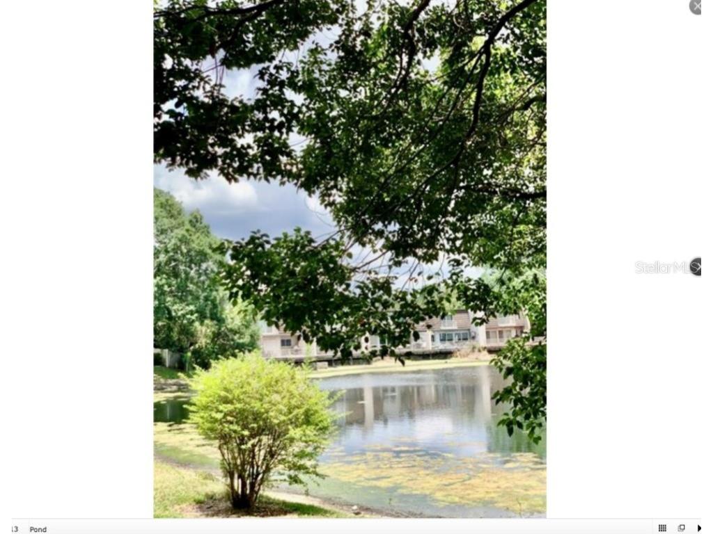  Tampa FL 33618 TB8417740 image6