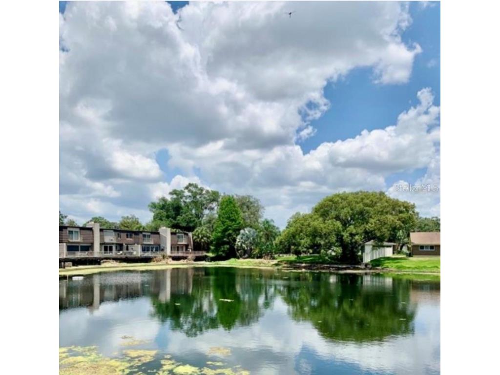  Tampa FL 33618 TB8417740 image7