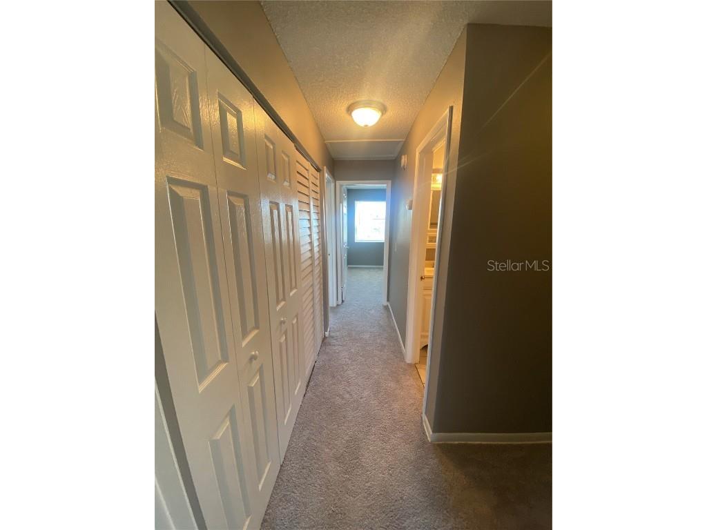  Tampa FL 33624 TB8428103 image14