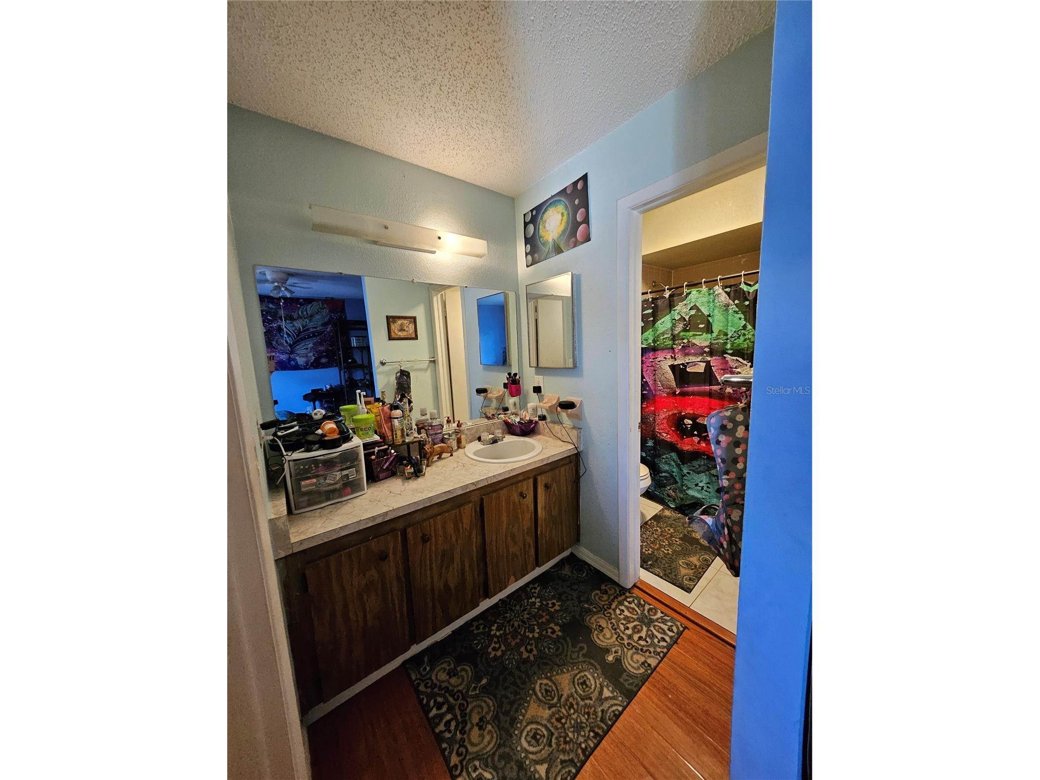  Tampa FL 33624 TB8488949 image12