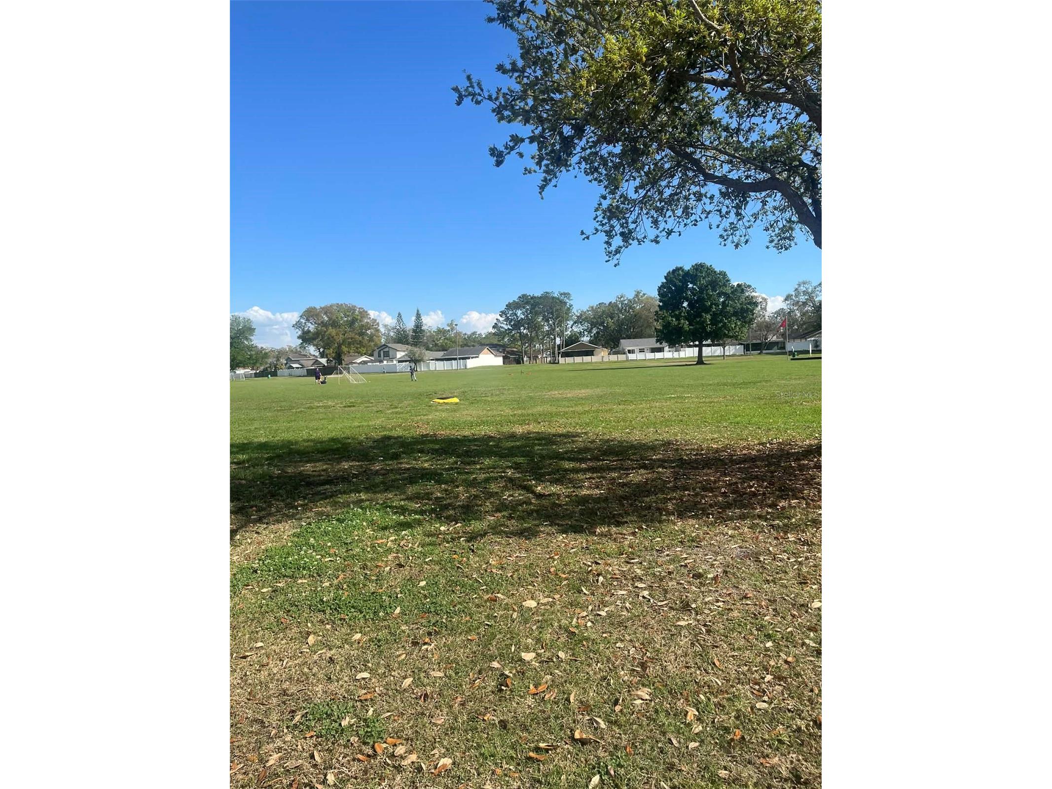  Tampa FL 33624 TB8488949 image30