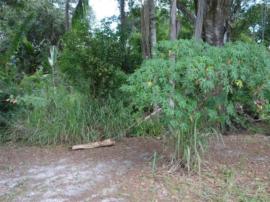  Tampa FL 33624 U8143011 image12