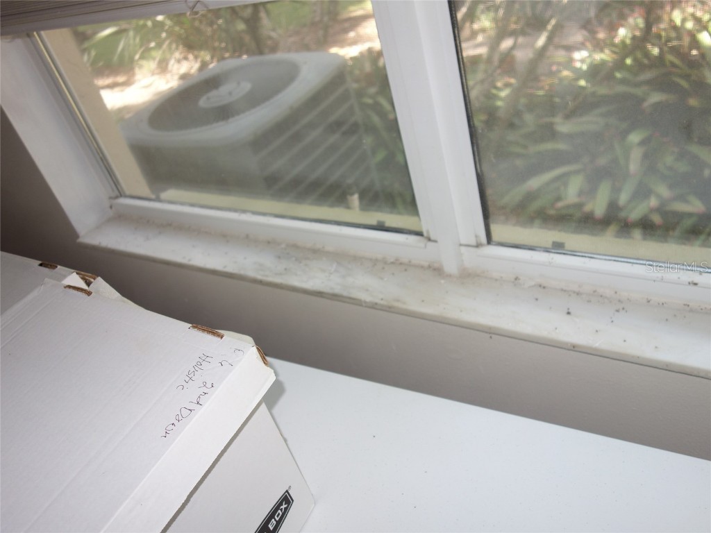  Tampa FL 33624 U8143011 image21