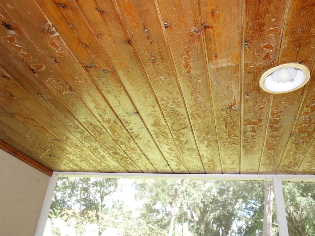  Tampa FL 33624 U8143011 image26